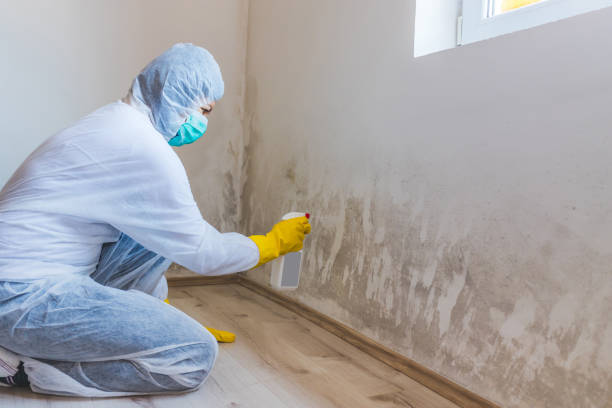 Mold Remediation specialist working in Abbottstown